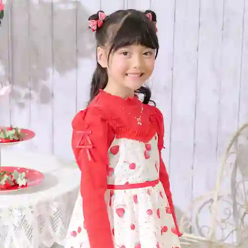 ネックレス刺しゅう プチハイネック 長袖Tシャツの画像1