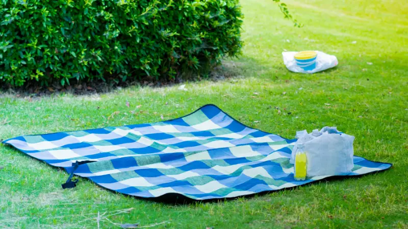 レジャーシート